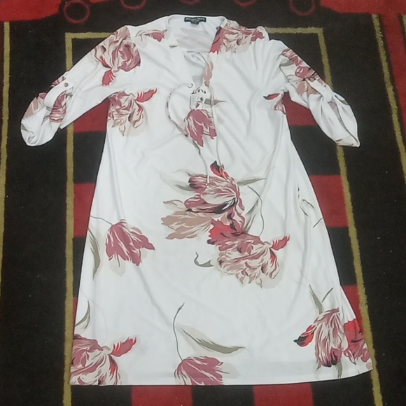 Beechers Brook New York dress (L) - Picture 1 of 6